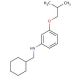N-(Cyclohexylmethyl)-3-isobutoxyaniline - chemical structure image