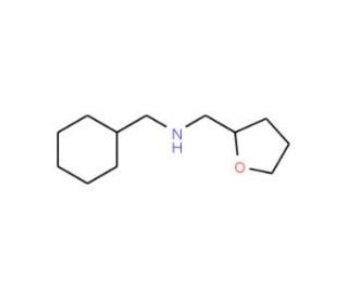 N-(Cyclohexylmethyl)(tetrahydro-2-furanyl)-methanamine (CAS 356540-19-7) - chemical structure image