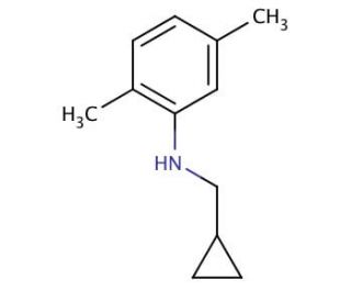 N-(Cyclopropylmethyl)-2,5-dimethylaniline - chemical structure image