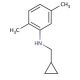 N-(Cyclopropylmethyl)-2,5-dimethylaniline - chemical structure image