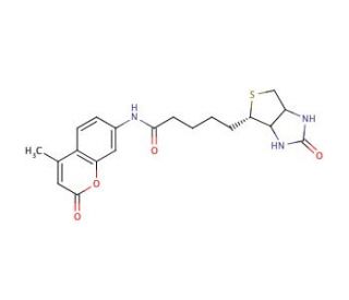 N-d-Biotinyl-7-amino-4-methylcoumarin (CAS 191223-35-5) - chemical structure image