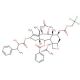 N-Debenzoyl-7-{[(2,2,2,-trichloroethyl)oxy]carbonyl}paclitaxel (CAS 114915-15-0) - chemical structure image
