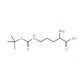 N-delta-Boc-L-Ornithine 的分子结构, CAS编号: 13650-49-2 N-delta-Boc-L-Ornithine (CAS 13650-49-2) - chemical structure image