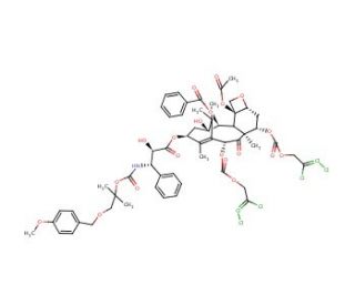 N-Des-t-boc-N-2-[2-methyl-1-(4-methoxyphenyl)methoxy]propyloxycarbonxyl-7,10-O-bis{[(2,2,2-trichloroethyl)oxy]carbonyl} Docet