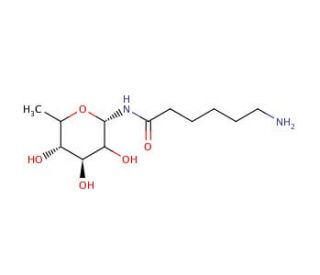 N-(ε-Aminocaproyl)-β-L-fucopyranosylamine (CAS 35978-97-3) - chemical structure image