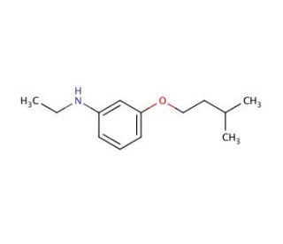N-Ethyl-3-(isopentyloxy)aniline - chemical structure image