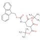 N-Fmoc-γ-carboxyglutamic Acid γ,γ-Di-t-butyl Ester (CAS 308357-14-4) - chemical structure image