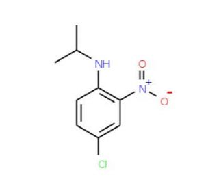 N-Isopropyl 4-chloro-2-nitroaniline (CAS 89659-66-5) - chemical structure image