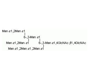 N-Linked Oligosaccharide, Man-9 Glycan (CAS 71246-55-4) - chemical structure image