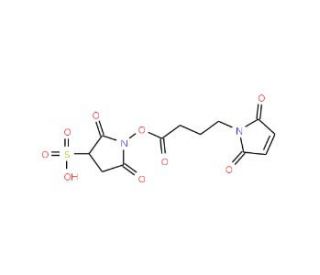 N-Maleimidobutyryloxysulphosuccinimide ester (CAS 158018-86-1) - chemical structure image