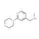 N-Methyl-1-[2-(morpholin-4-yl)pyridin-4-yl]methylamine (CAS 869901-11-1) - chemical structure image