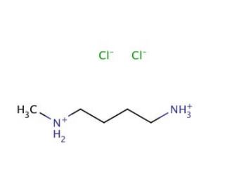 N-Methylbutane-1,4-diamine, Dihydrochloride (CAS 89690-09-5) - chemical structure image