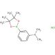 N,N-Dimethyl-3-(4,4,5,5-tetramethyl-1,3,2-dioxaborolan-2-yl)aniline hydrochloride - chemical structure image