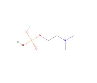 N,N-Dimethylaminoethanol Phosphate (CAS 6909-62-2) - chemical structure image