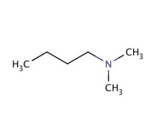 N,N-Dimethylbutylamine (CAS 927-62-8) - chemical structure image