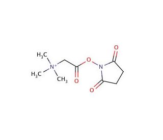 N,N,N-Trimethylglycine-N-hydroxysuccinimide ester bromide (CAS 42014-55-1) - chemical structure image