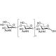 N,N′,N′′,N′′′,N′′′′,N′′′′′-Hexaacetylchitohexaose (CAS 38854-46-5) - chemical structure image