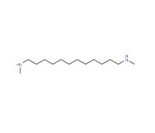 N,N′-Dimethyl-1,12-diaminododecane (CAS 56992-91-7) - chemical structure image