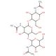 N,N′,N′′,N′′′-Tetraacetylchitotetraose (CAS 2706-65-2) - chemical structure image