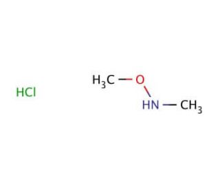 N,O-Dimethylhydroxylamine Hydrochloride (CAS 6638-79-5) - chemical structure image