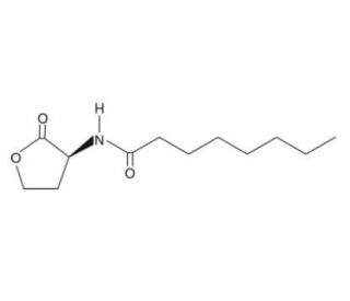 N-octanoyl-L-Homoserine lactone (CAS 147852-84-4) - chemical structure image