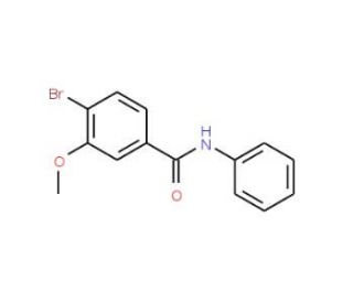 N-Phenyl 4-bromo-3-methoxybenzamide (CAS 1072944-33-2) - chemical structure image