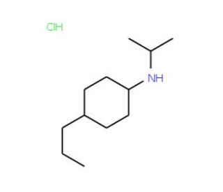 N-(propan-2-yl)-4-propylcyclohexan-1-amine hydrochloride - chemical structure image