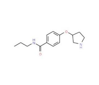 N-Propyl-4-[(3S)-pyrrolidinyloxy]benzamide (CAS 1212151-59-1) - chemical structure image