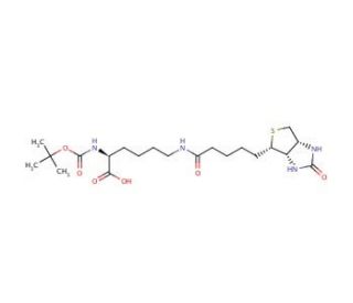 N-t-Boc-biocytin (CAS 62062-43-5) - chemical structure image