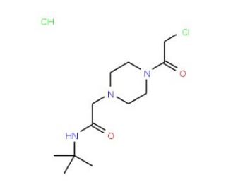 N-(tert-butyl)-2-[4-(chloroacetyl)piperazin-1-yl]acetamide hydrochloride - chemical structure image