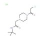 N-(tert-butyl)-2-[4-(chloroacetyl)piperazin-1-yl]acetamide hydrochloride - chemical structure image