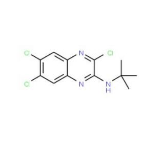 N-(tert-Butyl)-3,6,7-trichloroquinoxalin-2-amine (CAS 281211-09-4) - chemical structure image