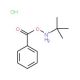 N-tert-Butyl-O-benzoylhydroxylamine hydrochloride - chemical structure image