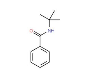 N-tert-Butylbenzamide (CAS 5894-65-5) - chemical structure image
