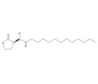N-tridecanoyl-L-Homserine lactone (CAS 878627-21-5) - chemical structure image
