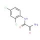 N~1~-(2,4-dichlorophenyl)ethanediamide (CAS 17738-96-4) - chemical structure image