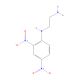 N1-(2,4-Dinitro-phenyl)-ethane-1,2-diamine (CAS 28767-75-1) - chemical structure image