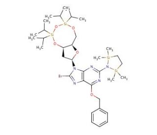 N2-(1,1,4,4-Tetramethyldisilylazacyclopentanyl)-O6-benzyl-8-bromo-N9-[3&prime;,5&prime;-O-(1,1,3,3-tetrakis(isopropyl)-1,3-disiloxanediyl