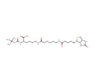 N2-t-Boc-N6-(biotinamido-6-N-caproylamido)lysine (CAS 102910-26-9) - chemical structure image