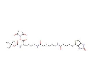 N2-t-Boc-N6-(biotinamido-6-N-caproylamido)lysine N-Hydroxysuccinimide Ester (CAS 102910-27-0) - chemical structure image