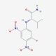 Nα-(2,4-Dinitro-5-fluorophenyl)-L-valinamide (CAS 132679-61-9) - chemical structure image