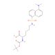 Nalpha-Boc-Nepsilon-dansyl-L-lysine (CAS 185504-01-2) - chemical structure image