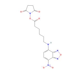 NBD-X, succinimidyl ester (CAS 145195-58-0) - chemical structure image