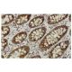 NDUFS4 Antibody (1-E-4) - Immunohistochemistry - Image 36071 