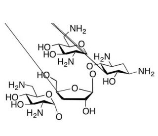 Neomycin C Sulfate (CAS 66-86-4) - chemical structure image