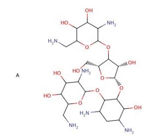 Neopentyl Methanthiosulfonate - chemical structure image