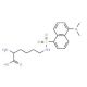 Nε-Dansyl-L-lysine (CAS 1101-84-4) - chemical structure image