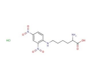 N&epsilon;-DNP-L-lysine hydrochloride (CAS 14401-10-6) - chemical structure image