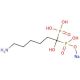 Neridronate, Sodium Salt (CAS 80729-79-9) - chemical structure image
