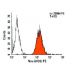 ErbB2/HER2 Antibody (24D2) - Flow Cytometry - Image 9506